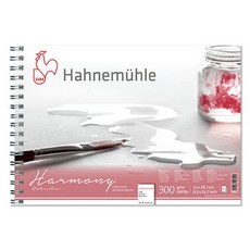 Hahnemuhle Harmony 中紋線圈素描本 300g HC11