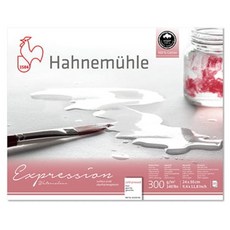 하네뮬레 익스프레션 중목 패드형 스케치북 300g E01, 240 x 300 mm, 1개, 20매
