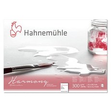 Hahnemuhle Harmony 中紋膠裝素描本 300g HC01, A4, 1個, 12張