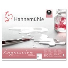 하네뮬레 익스프레션 중목 패드형 스케치북 300g E03, 400 x 500 mm, 1개, 20매