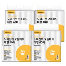 노마진펫 강아지 오늘패드 배변패드, 4개, 40개입 4개, 40개입