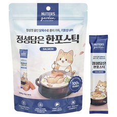 누터스가든 고양이 정성담은 한포스틱 짜먹는 간식, 1개, 300g, 연어맛 1개, 300g, 연어맛
