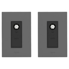Legrand 羅格朗 Apella SIMPLE CATV 2路模組 8dB 3模 TV插座 鎂合金雙色, 2個