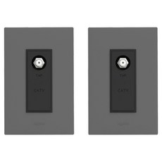 Legrand 羅格朗 Apella SIMPLE CATV 3路模組 11dB 3模 TV插座 雙色鎂合金