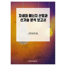 차세대 에너지 산업과 신기술 분석 보고서, 반양장