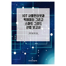 IOT 사물인터넷과 빅데이터 그리고 스마트 그리드 산업 보고서, 반양장