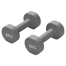로이윙 PVC 아령 덤벨 양손 세트, 2개, 8kg