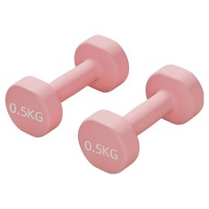 로이윙 PVC 아령 덤벨 양손 세트, 2개, 0.5kg
