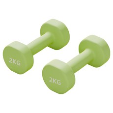 로이윙 PVC 아령 덤벨 양손 세트, 2개, 2kg