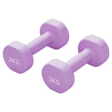 로이윙 PVC 아령 덤벨 양손 세트, 2개, 3kg
