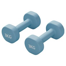 로이윙 PVC 아령 덤벨 양손 세트, 2개, 1kg