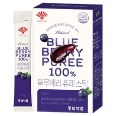 동화약품 블루베리 퓨레 스틱 14p, 1개, 280g 1개, 280g
