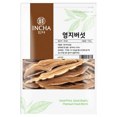 인차 국내산 영지버섯 슬라이스, 1개, 100g
