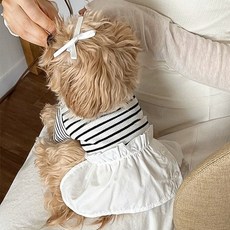 Yoreungae 寵物條紋服