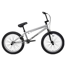 블랙타이판 2025년형 BMX 포티튜드 묘기용 퍼포먼스 자전거 방문설치, 크롬실버, 142cm, 1개