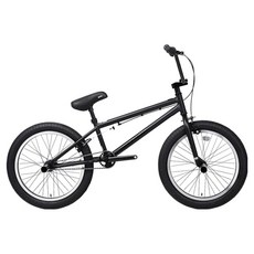 블랙타이판 2025년형 BMX 포티튜드 묘기용 퍼포먼스 자전거 방문설치, 매트블랙, 142cm, 1개