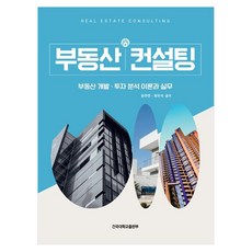 부동산 컨설팅:부동산 개발·투자 분석 이론과 실무, 페이퍼북