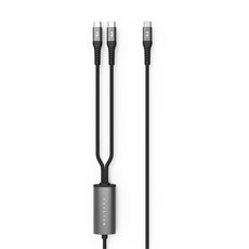 FeeLTEK Gemini USB-C-Type-C充電線 一轉二智慧分流傳輸 100W, 黑色, 1個, 150cm
