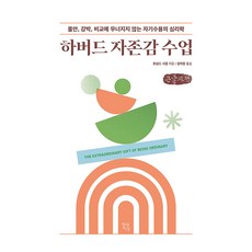 하버드 자존감 수업, 큰글씨 큰글씨