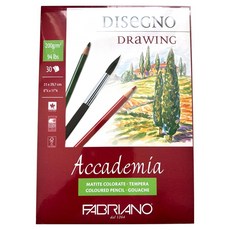 파브리아노 아카데미아 스케치북 41202129 DRAWING TOP SIDE 200g AC05, A4, 1개