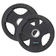 이고진 클럽용 고무 바벨 원판 51D, 블랙, 2개, 10kg