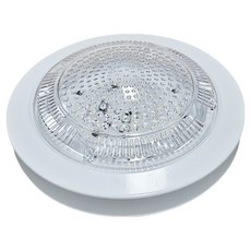 블링라이트 BN LED 직부등 20W, 투명 + 주광색, 1개
