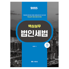 2025 핵심실무 법인세법, 기타