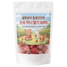 無糖冷凍乾燥迷你草莓100%