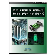 2025 이차전지 및 배터리산업 기술개발 동향과 시장전망 2, 반양장