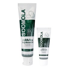SOOMOLA 蘇卡思 泰國牙膏2件組 青草椰子味 110g + 35g, 145g, 1套
