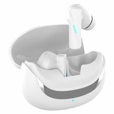 DTAudio Mate70 Wireless 主動降噪 入耳式 無線耳機 ENC降噪 IPX4 Type-C 12H Playtime 白色 DTA-Mate70
