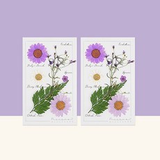 프레스코21 레터링시리즈 압화 종합팩 S 2p, Violeta