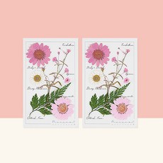 프레스코21 레터링시리즈 압화 종합팩 S 2p, Pink A Boo