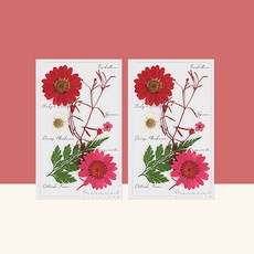 프레스코21 레터링시리즈 압화 종합팩 S 2p, Marilyn Red