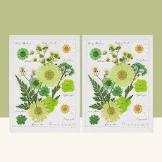 프레스코21 레터링시리즈 압화 종합팩 M 2p, Greenery
