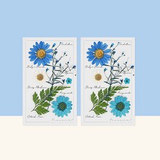 프레스코21 레터링시리즈 압화 종합팩 S 2p, Blue Moon