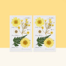 프레스코21 레터링시리즈 압화 종합팩 S 2p, Sunset Yellow