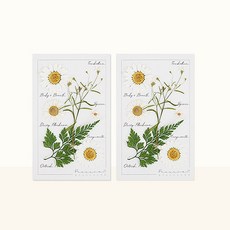 프레스코21 레터링시리즈 압화 종합팩 S 2p, Snow White
