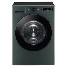 LG전자 트롬 오브제컬렉션 건조기 20kg 방문설치, RG20GN, 네이처 그린