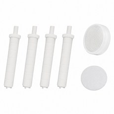 LEADER 麗達 LBE-62蓮蓬頭專用淨水除氯過濾棒組 過濾棒 4支 + 除氯盒用過濾棉片 + 除氯淨化盒, 1套, 無香