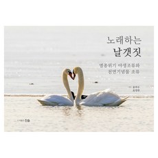 노래하는 날갯짓:멸종위기 야생조류와 천연기념물 조류, 노래하는 날갯짓, 윤의수, 유영한(저), 진솔, 반양장
