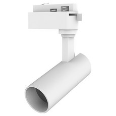 (주)나스필코리아 일체형 COB 원통트랙 LED 레일조명 20W, 화이트 + 주광색, 1개