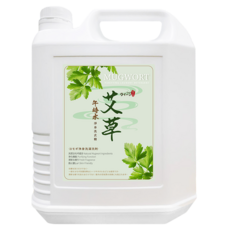 Queen 皇后 艾草午時水淨身洗衣精, 4kg, 1個