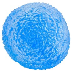 토이토 아이스캔디 크런치 슬랑이 스트레스볼 말랑이 슬라임, 1개, 50g, 블루 1개, 50g, 블루