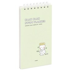 아이코닉 이겨낸다 핸디 만년 4개월 공부 학습 스터디플래너, 04 LIGHT GREEN, 1개