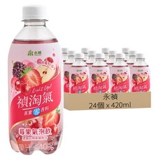 永禎 莓果氣泡飲, 24瓶, 420ml