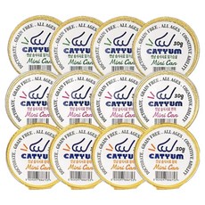 캣냠 베러펫 습식사료 닭가슴살 30g x 4p + 연어 30g x 4p + 황태 30g x 4p 세트, 1세트