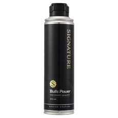 불스원 불스파워 시그니처 엔진코팅제 300ml, 1개, 공용 1개, 공용