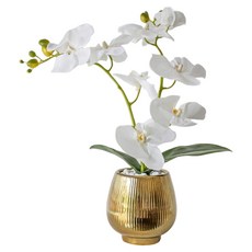 FLORAL M 花藝 輕奢高級蘭花仿真花禮, 白色, 1個