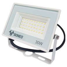 GONEO 노출투광등 30W, 백색 + 주광색